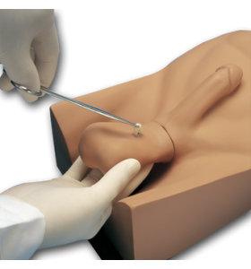 No-Scalpel Vasectomy Training Simulator (Default)