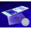 CellVU Sperm Counting Chamber (MFR# DRM-600)