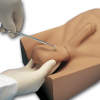Vasectomy Scrotal Simulator/Model (S518)