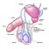 Male Anatomy Diagram for Patient Counseling
